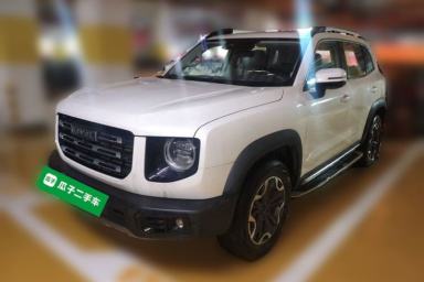 Used Haval DARGO 2021 2.0T DCT 4x4 Chinese Rural Dog Edition