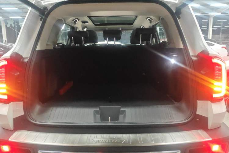Used Haval DARGO 2021 2.0T DCT 4x4 Chinese Rural Dog Edition Trunk