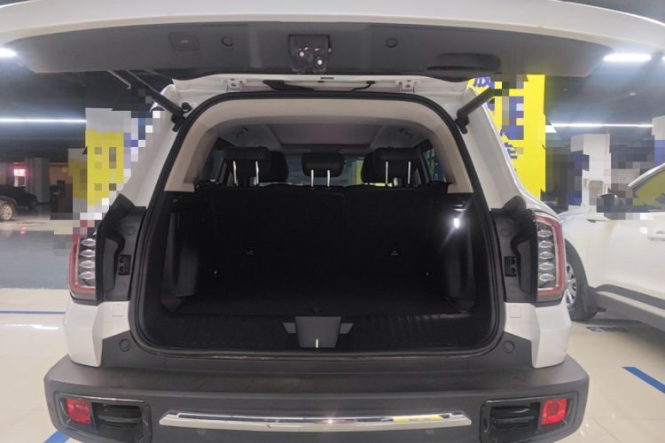 Used Haval DARGO 2021 2.0T DCT 4x4 Chinese Rural Dog Edition Trunk