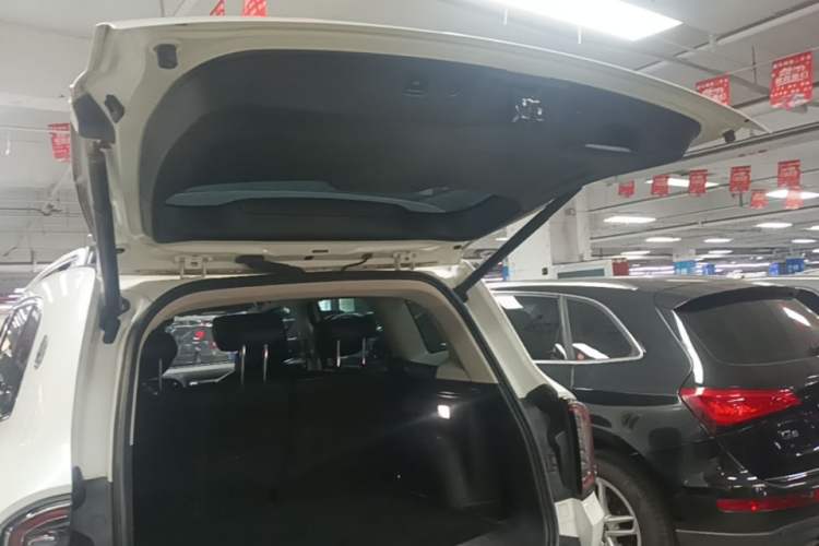 Used Haval DARGO 2021 2.0T DCT 4x4 Chinese Rural Dog Edition Trunk