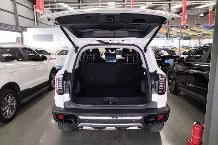 Used Haval DARGO 2021 2.0T DCT 4x4 Chinese Rural Dog Edition Trunk