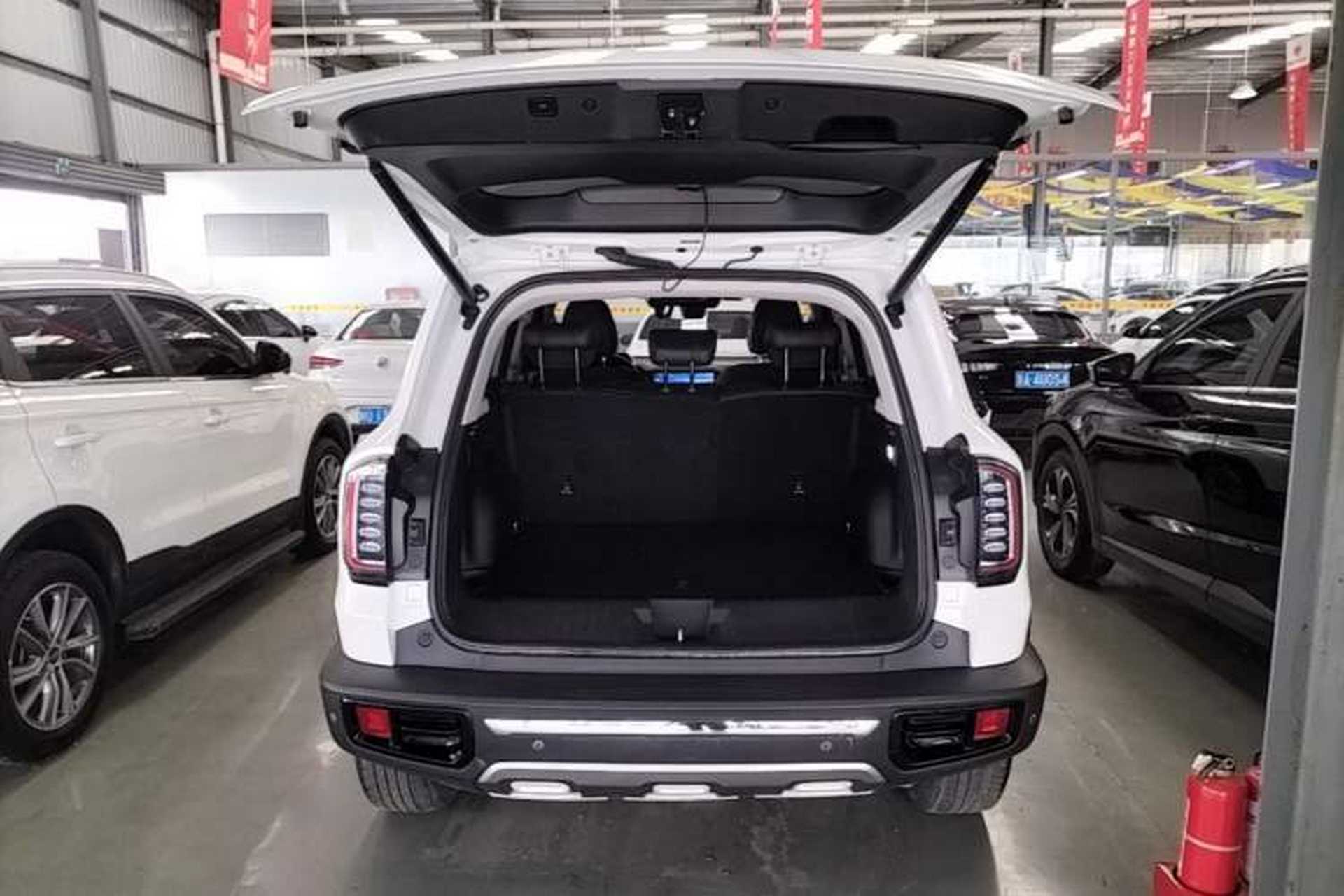 Used Haval DARGO 2021 2.0T DCT 4x4 Chinese Rural Dog Edition Trunk