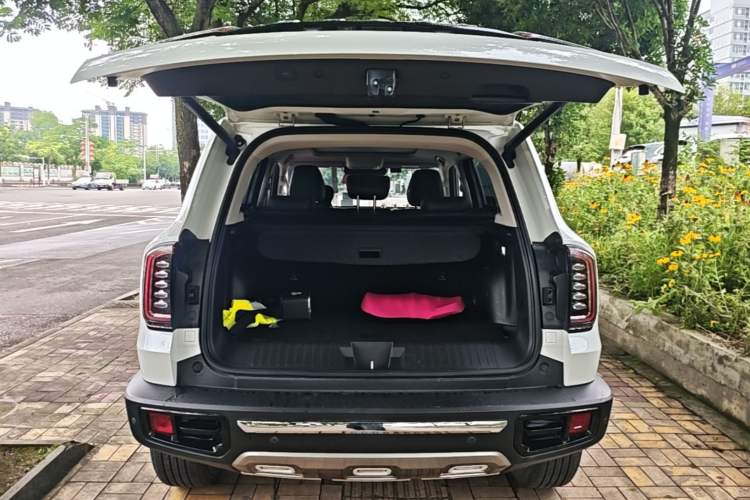 Used Haval DARGO 2021 2.0T DCT 4x4 Chinese Rural Dog Edition Trunk
