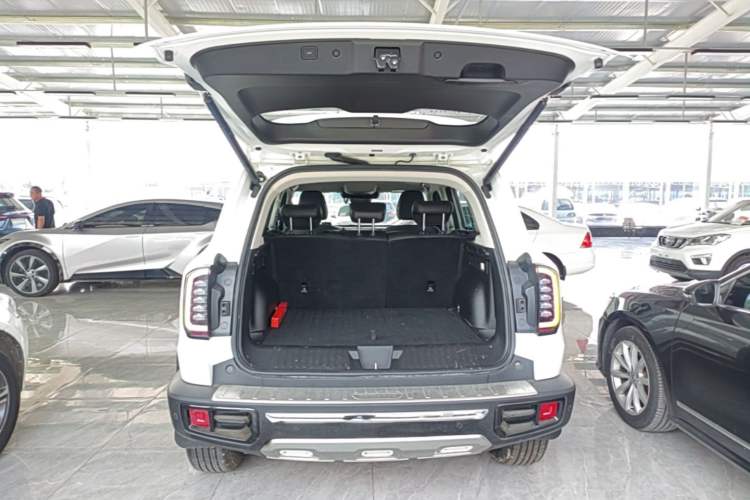 Used Haval DARGO 2021 2.0T DCT 4x4 Chinese Rural Dog Edition Trunk