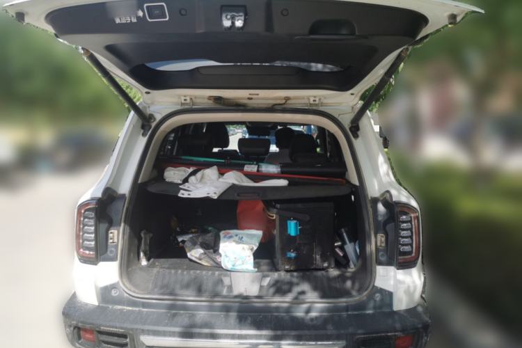 Used Haval DARGO 2021 2.0T DCT 4x4 Chinese Rural Dog Edition Trunk
