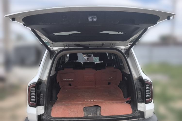 Used Haval DARGO 2021 2.0T DCT 4x4 Chinese Rural Dog Edition Trunk