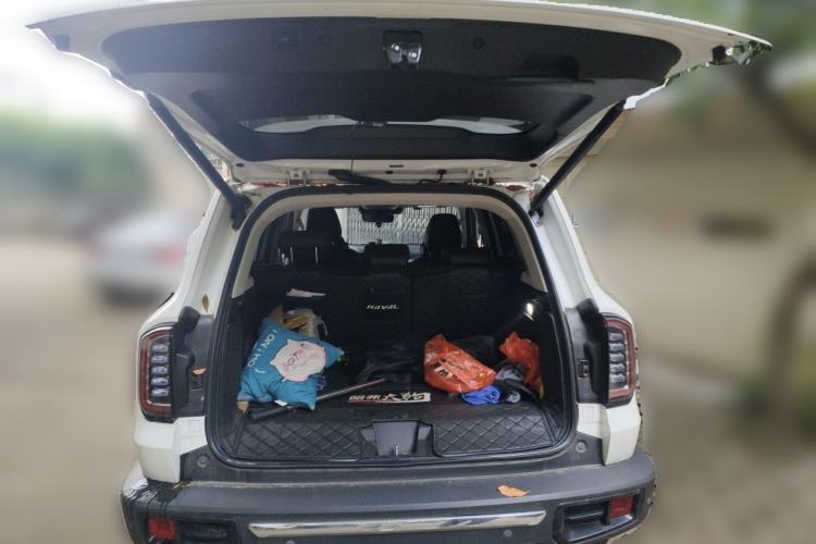 Used Haval DARGO 2021 2.0T DCT 4x4 Chinese Rural Dog Edition Trunk
