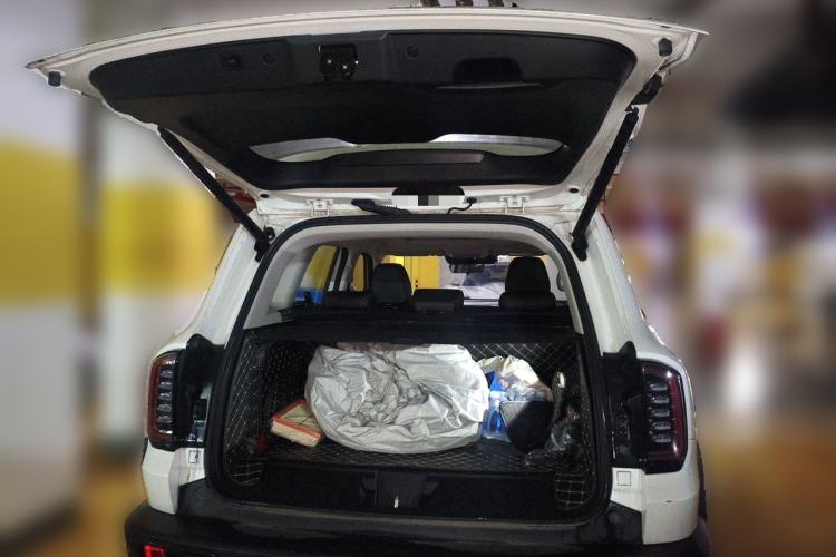 Used Haval DARGO 2021 2.0T DCT 4x4 Chinese Rural Dog Edition Trunk