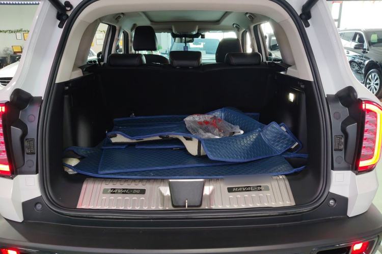 Used Haval DARGO 2021 2.0T DCT 4x4 Chinese Rural Dog Edition Trunk