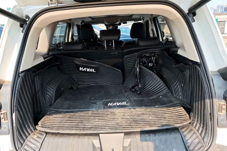Used Haval DARGO 2021 2.0T DCT 4x4 Chinese Rural Dog Edition Trunk