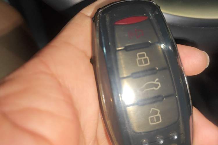 Used Haval DARGO 2021 2.0T DCT 4x4 Chinese Rural Dog Edition Vehicle Key