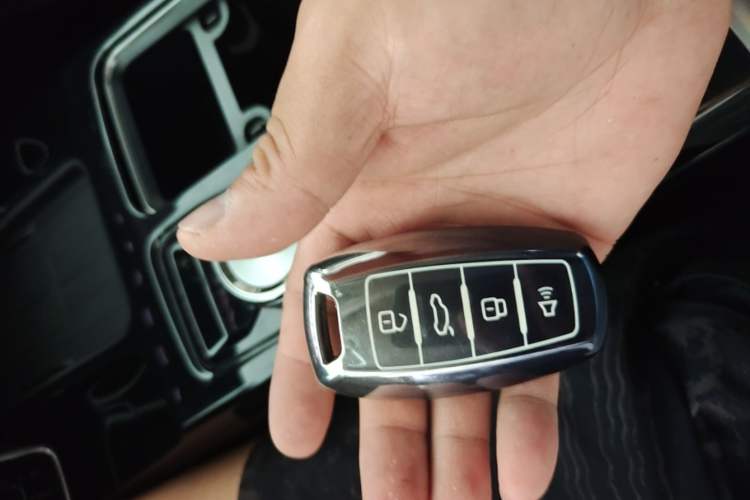 Used Haval DARGO 2021 1.5T DCT Two-Wheel Drive Border Collie - Wangcai Edition Vehicle Key
