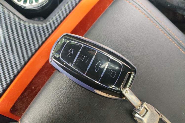 Used Haval DARGO 2021 2.0T DCT 4x4 Chinese Rural Dog Edition Vehicle Key