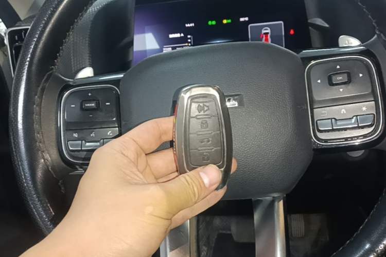 Used Haval DARGO 2021 2.0T DCT 4x4 Chinese Rural Dog Edition Vehicle Key