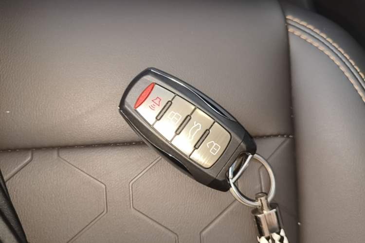 Used Haval DARGO 2021 1.5T DCT Two-Wheel Drive Border Collie Edition Vehicle Key