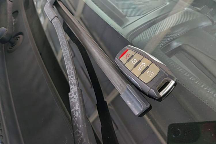 Used Haval DARGO 2021 2.0T DCT 4x4 Chinese Rural Dog Edition Vehicle Key