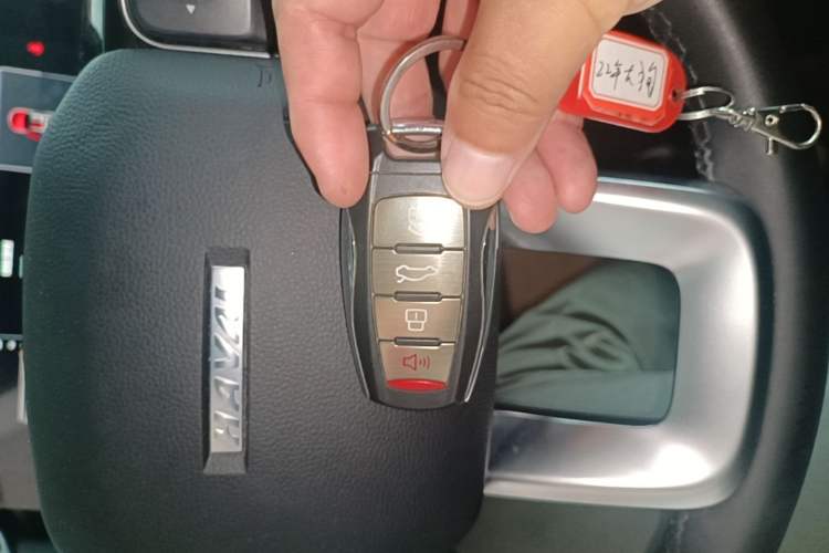 Used Haval DARGO 2021 1.5T DCT Two-Wheel Drive Border Collie Edition Vehicle Key