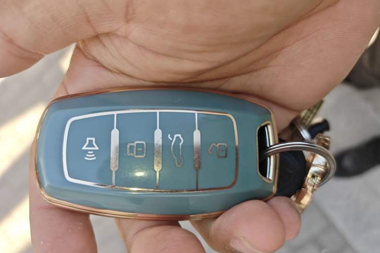Used Haval DARGO 2021 1.5T DCT Two-Wheel Drive Border Collie Edition Vehicle Key