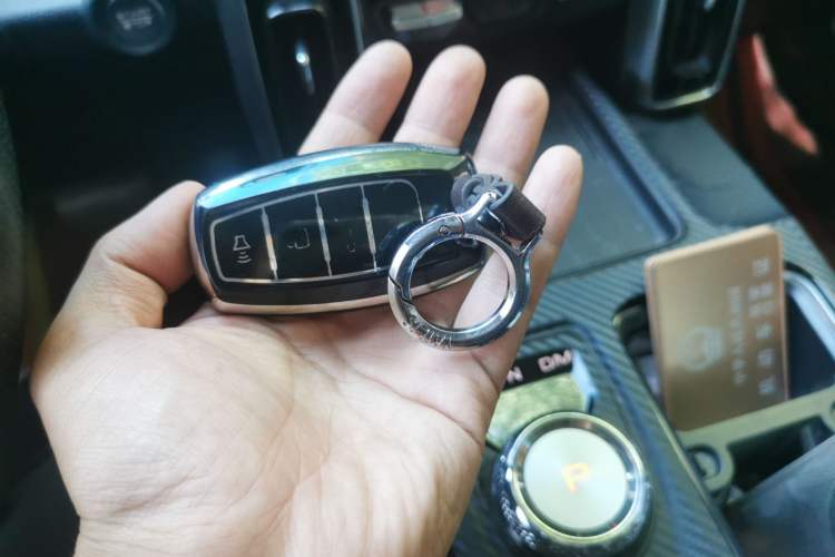 Used Haval DARGO 2021 2.0T DCT 4x4 Chinese Rural Dog Edition Vehicle Key