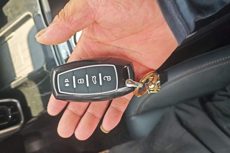 Used Haval DARGO 2021 2.0T DCT All-Wheel-Drive "Hao Tian Quan" Edition Vehicle Key