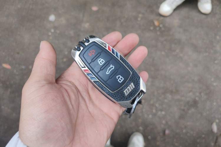 Used Haval DARGO 2021 2.0T DCT 4x4 Chinese Rural Dog Edition Vehicle Key