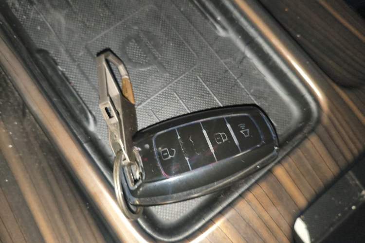 Used Haval DARGO 2021 2.0T DCT 4x4 Chinese Rural Dog Edition Vehicle Key