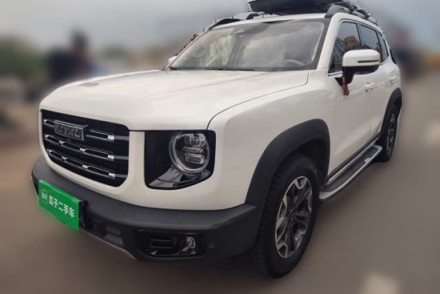 Used Haval DARGO 2021 2.0T DCT 4x4 Chinese Rural Dog Edition