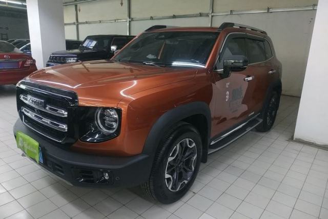 Used Haval DARGO 2021 2.0T DCT 4x4 Chinese Rural Dog Edition
