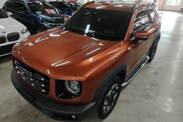 Used Haval DARGO 2021 2.0T DCT 4x4 Chinese Rural Dog Edition