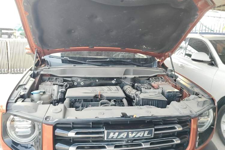 Used Haval DARGO 2021 1.5T DCT Two-Wheel Drive "Wangcai" Edition Engine Bay