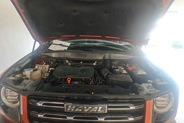 Used Haval DARGO 2021 2.0T DCT 4x4 Chinese Rural Dog Edition Engine Bay