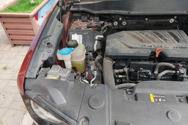 Used Haval DARGO 2021 1.5T DCT Two-Wheel Drive Border Collie Edition Engine Bay Right