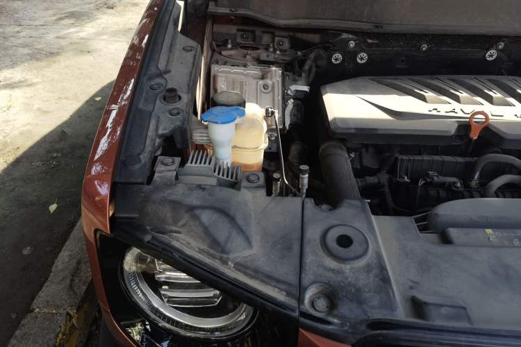 Used Haval DARGO 2021 1.5T DCT Two-Wheel Drive Border Collie Edition Engine Bay Right