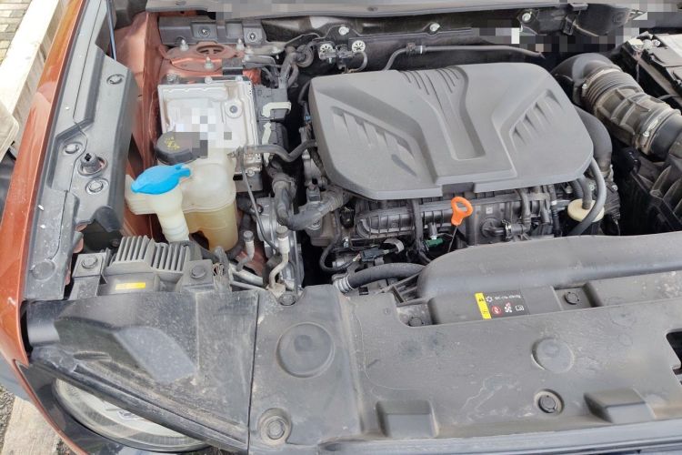 Used Haval DARGO 2021 Revised Version 2.0T DCT Four-Wheel Drive "Hao Tian Que" Edition Engine Bay Right