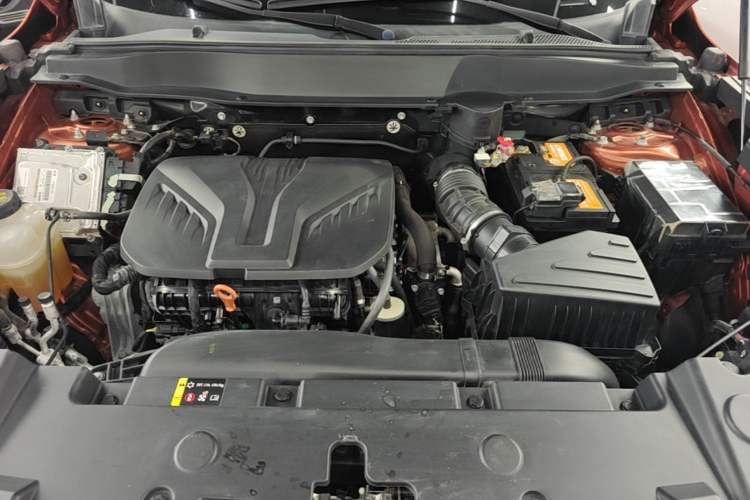 Used Haval DARGO 2021 2.0T DCT All-Wheel-Drive "Hao Tian Quan" Edition Engine Bay