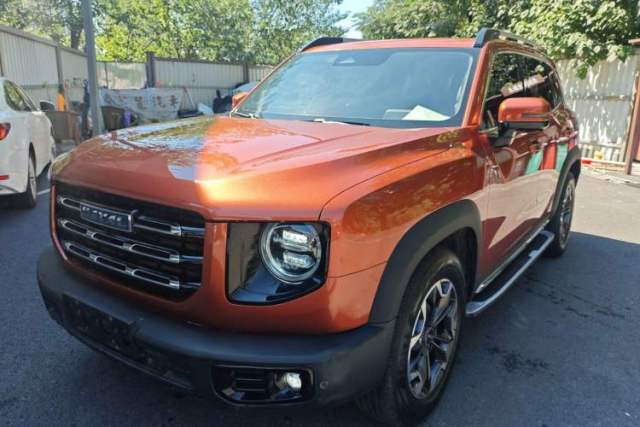 Used Haval DARGO 2021 2.0T DCT 4x4 Chinese Rural Dog Edition