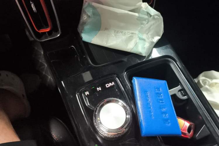 Used Haval DARGO 2021 2.0T DCT Two-Wheel Drive Chinese Mastiff Edition Gear Lever