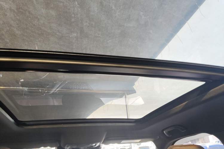 Used Haval DARGO 2021 1.5T DCT Two-Wheel Drive "Wangcai" Edition Headliner