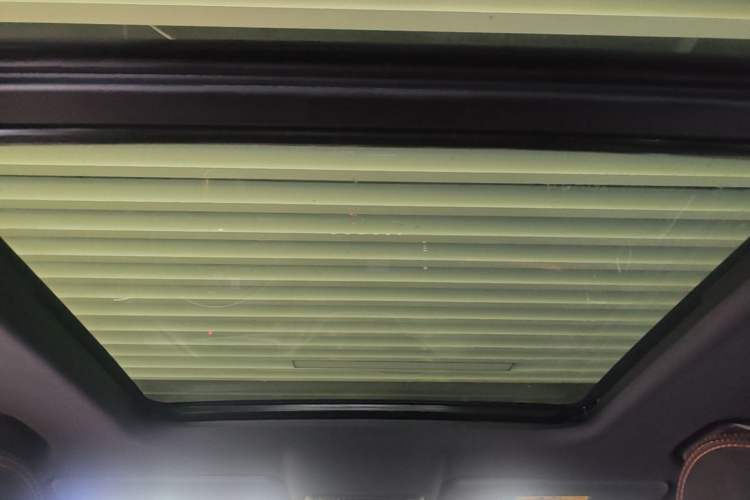 Used Haval DARGO 2021 2.0T DCT 4x4 Chinese Rural Dog Edition Headliner