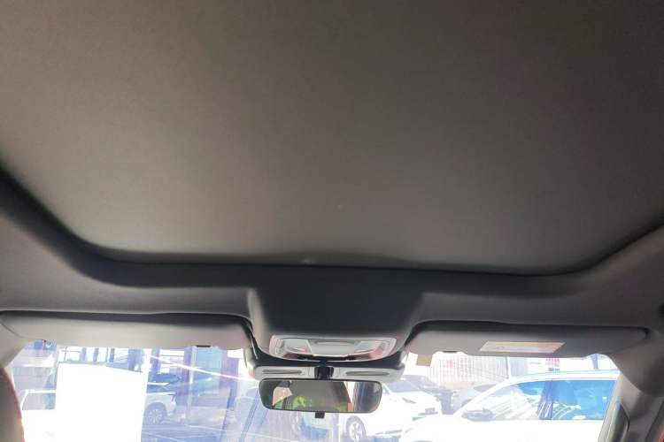 Used Haval DARGO 2021 2.0T DCT 4x4 Chinese Rural Dog Edition Headliner