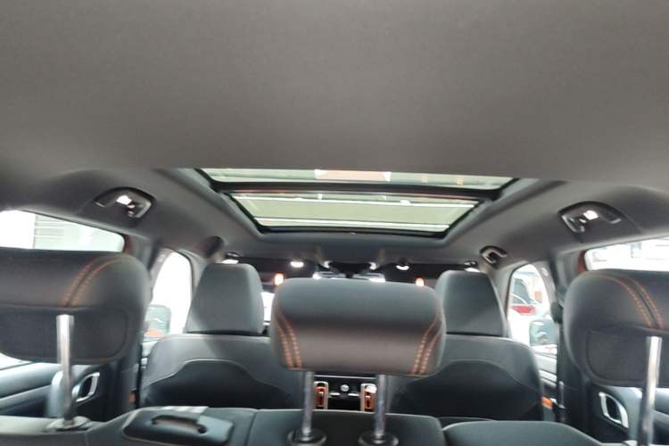 Used Haval DARGO 2021 2.0T DCT 4x4 Chinese Rural Dog Edition Headliner