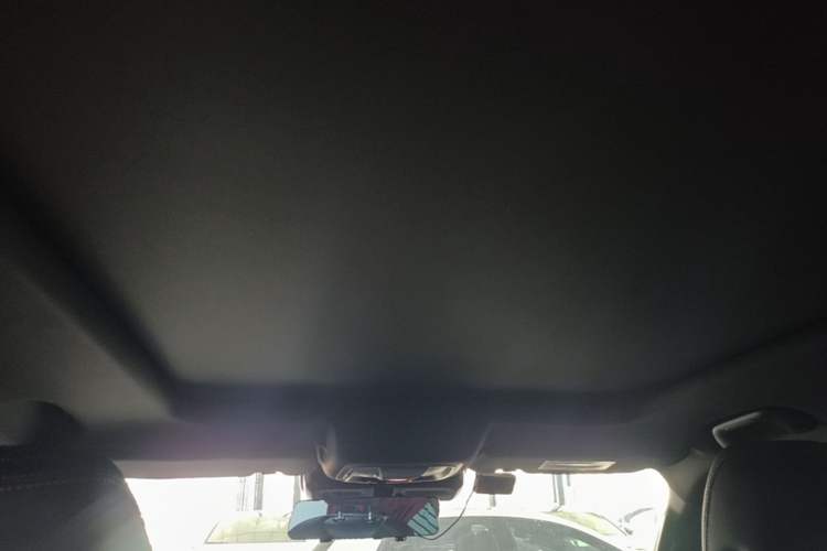 Used Haval DARGO 2021 1.5T DCT Two-Wheel Drive Border Collie Edition Headliner