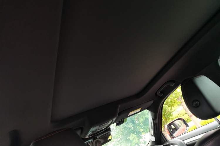 Used Haval DARGO 2021 1.5T DCT Two-Wheel Drive Border Collie - Wangcai Edition Headliner