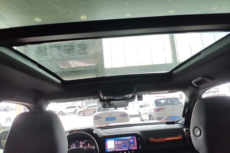 Used Haval DARGO 2021 2.0T DCT 4x4 Chinese Rural Dog Edition Headliner