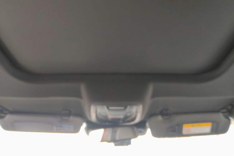 Used Haval DARGO 2021 1.5T DCT Two-Wheel Drive "Mǎquǎn" Edition Headliner