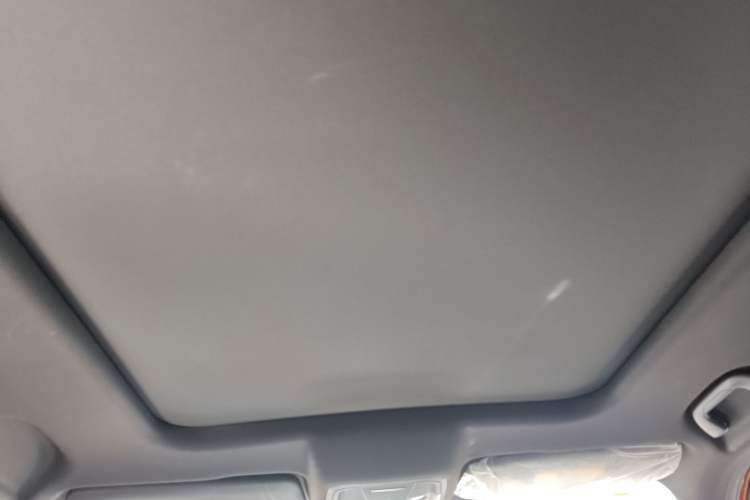 Used Haval DARGO 2021 1.5T DCT Two-Wheel Drive Labrador Edition Headliner