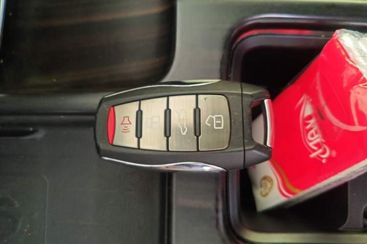 Used Haval DARGO 2021 2.0T DCT Two-Wheel Drive Chinese Mastiff Edition Interior 1