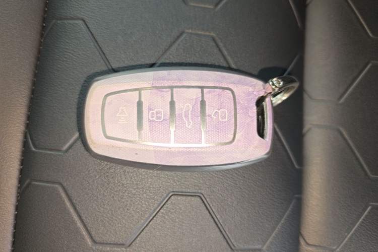 Used Haval DARGO 2021 2.0T DCT Two-Wheel Drive Chinese Mastiff Edition Interior 1