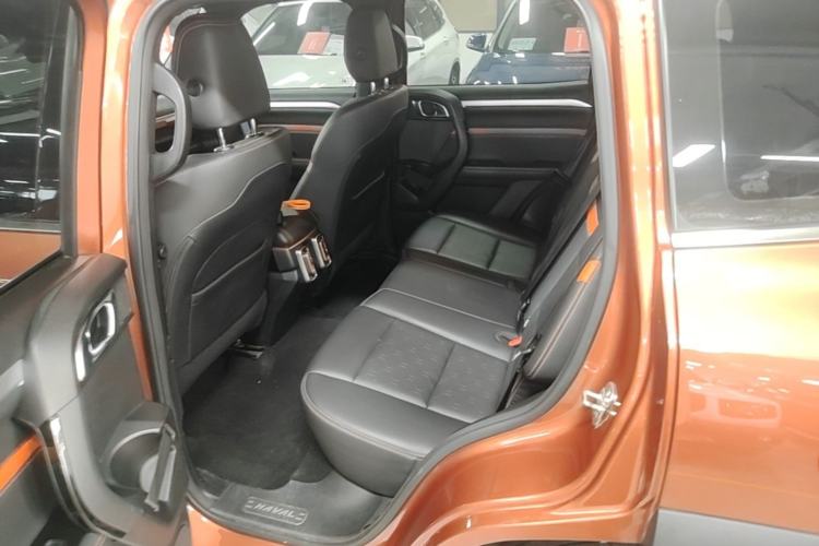 Used Haval DARGO 2021 2.0T DCT 4x4 Chinese Rural Dog Edition Left Rear Seat