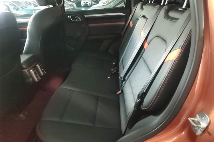 Used Haval DARGO 2021 1.5T DCT Two-Wheel Drive Border Collie - Wangcai Edition Left Rear Seat